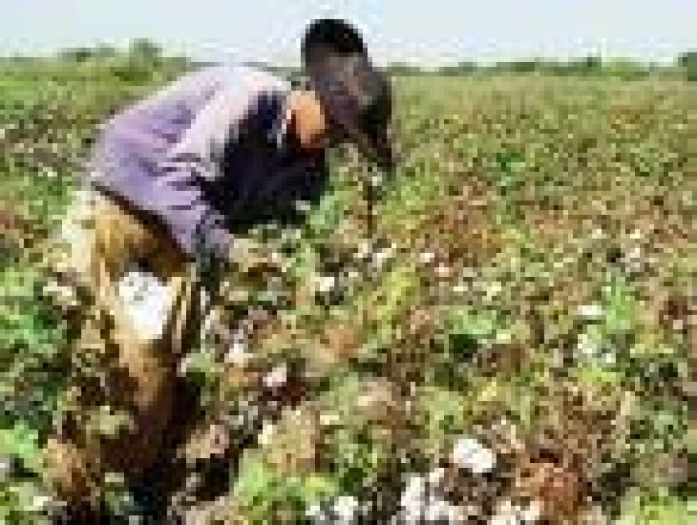 Firman convenio para avanzar en la regularizaci�n de los trabajadores rurales