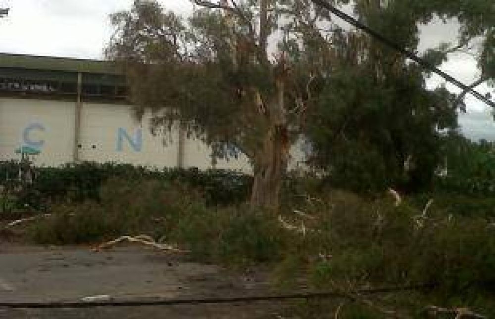 El paro complic� la limpieza tras la tormenta