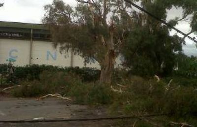 El paro complic� la limpieza tras la tormenta