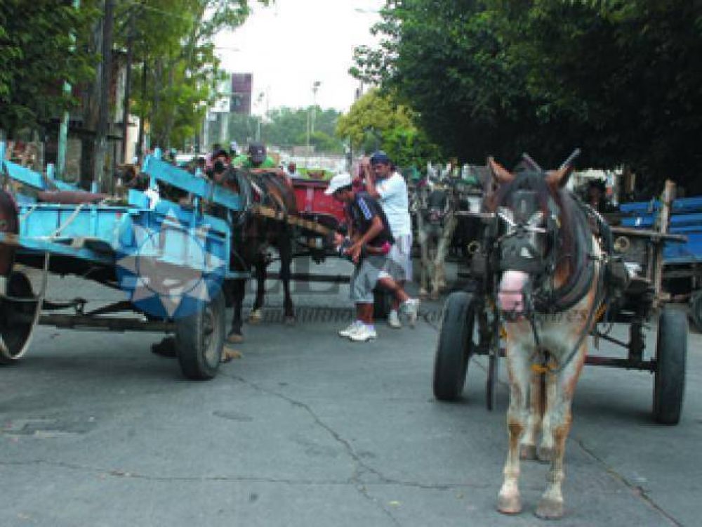 Satisfacci�n municipal por el �xito del registro de carreros