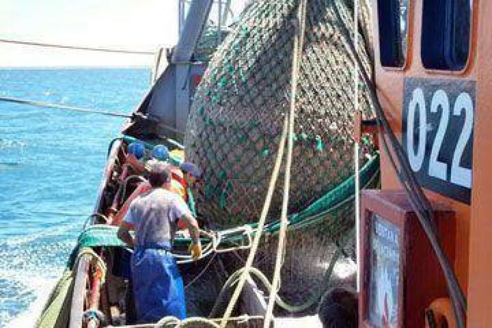 El 60% del langostino se exporta a Europa
