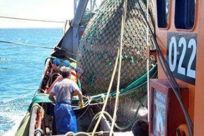 El 60% del langostino se exporta a Europa