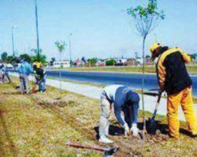 Ambiente pone nota a municipios por sus proyectos de forestaci�n