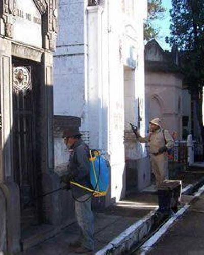 Aseguran que el dengue no llegar�a a San Juan