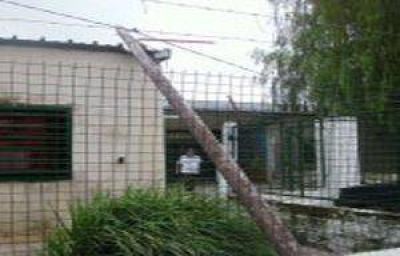Piden normalizaci�n del servicio el�ctrico en barrio de Las Lomitas