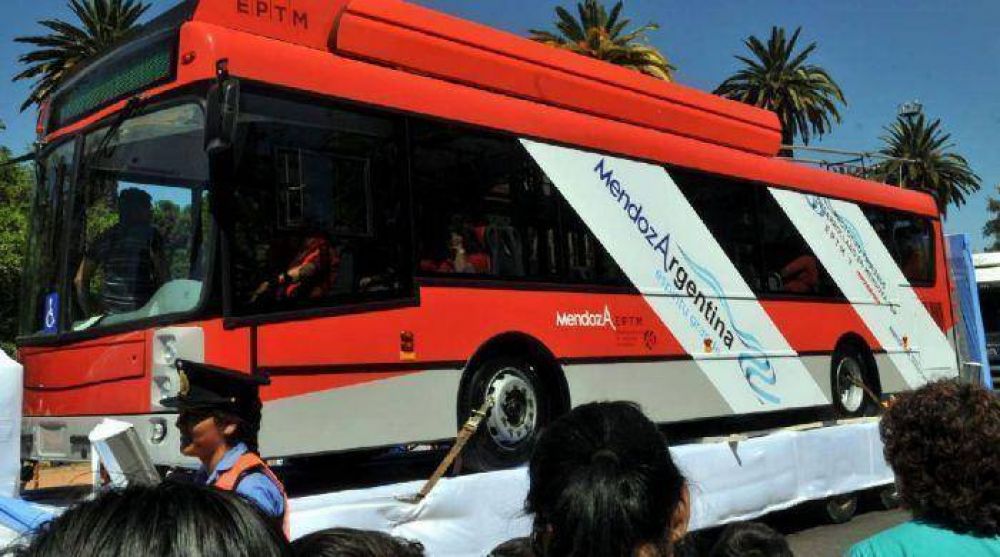 Troles �made in Mendoza� podr�an estar circulando a fin de a�o
