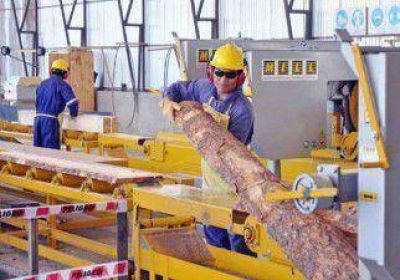 Provincia triplic� su producci�n de madera 