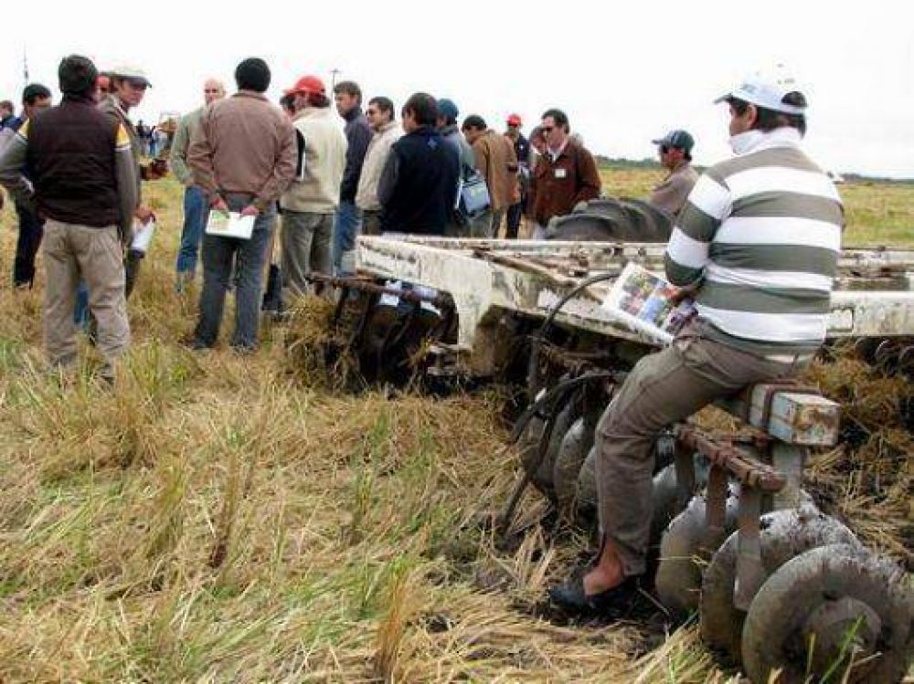 Colombi inaugurar� la Cosecha de arroz 2013