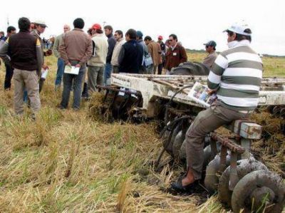 Colombi inaugurar� la Cosecha de arroz 2013