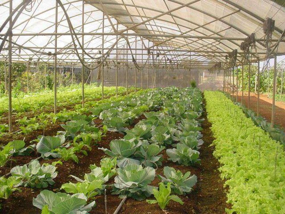 Camau Esp�nola y el Ministro de Agricultura de la Naci�n, encabezar�n un acto en la Sociedad Espa�ola