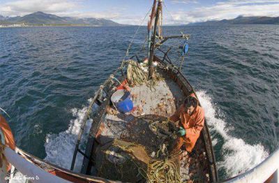 �El Gobierno ha presionado a los Legisladores para que no se insista la Ley de Pesca de Centolla�