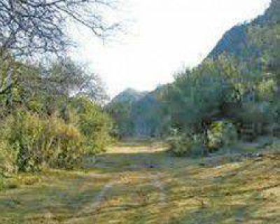Bosques nativos: el 15 vence el plazo para proyectos de conservaci�n