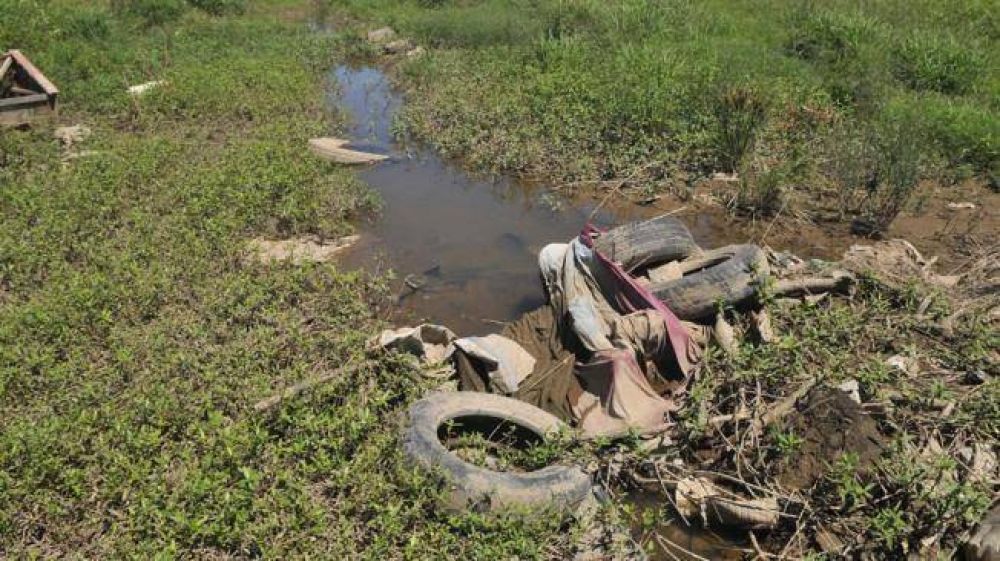 Aseguran que merm� la cantidad de mosquitos