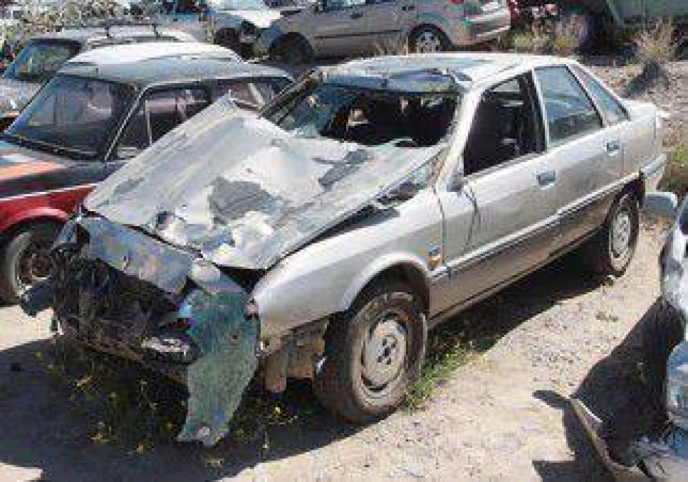 Mujer muri� tras embestir una tropilla y caer por un barranco 