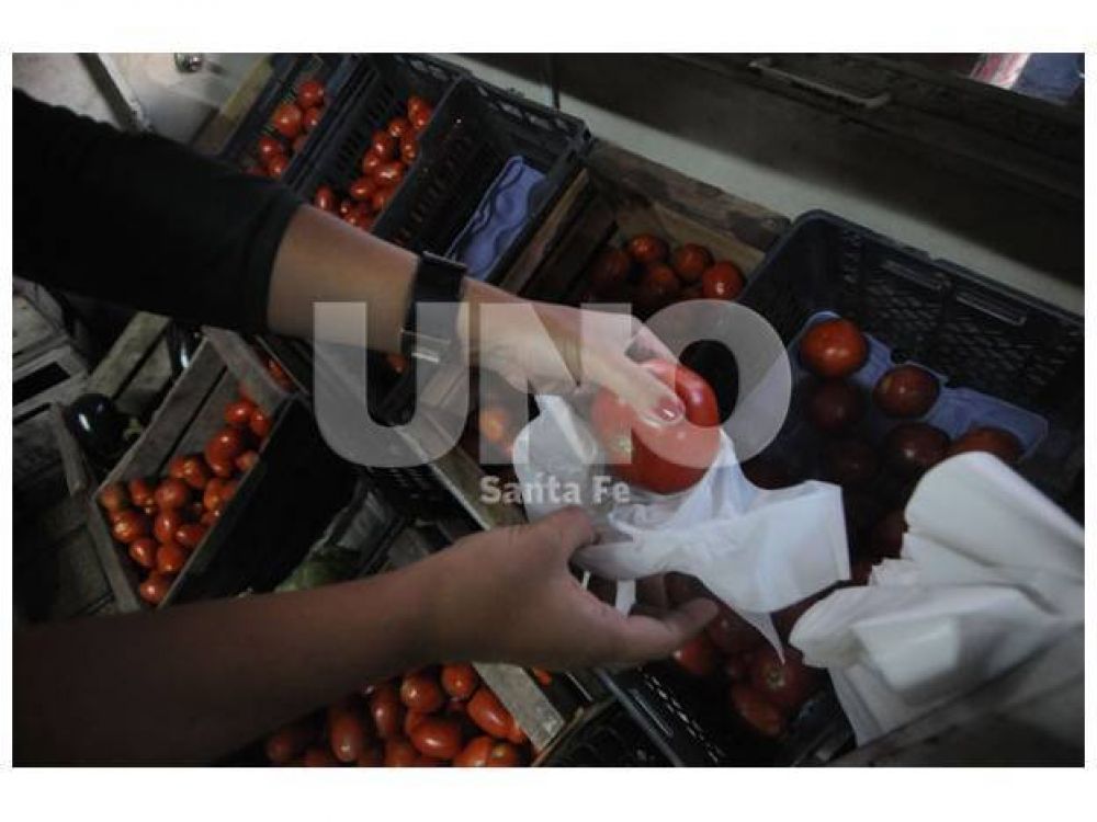 El precio del caj�n de tomate se duplic� en los �ltimos d�as y se vende a $18,90