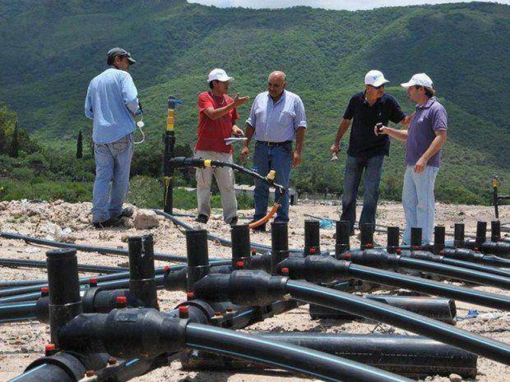 Concejales quieren saber el destino de los bonos verdes