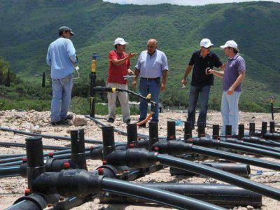 Concejales quieren saber el destino de los bonos verdes