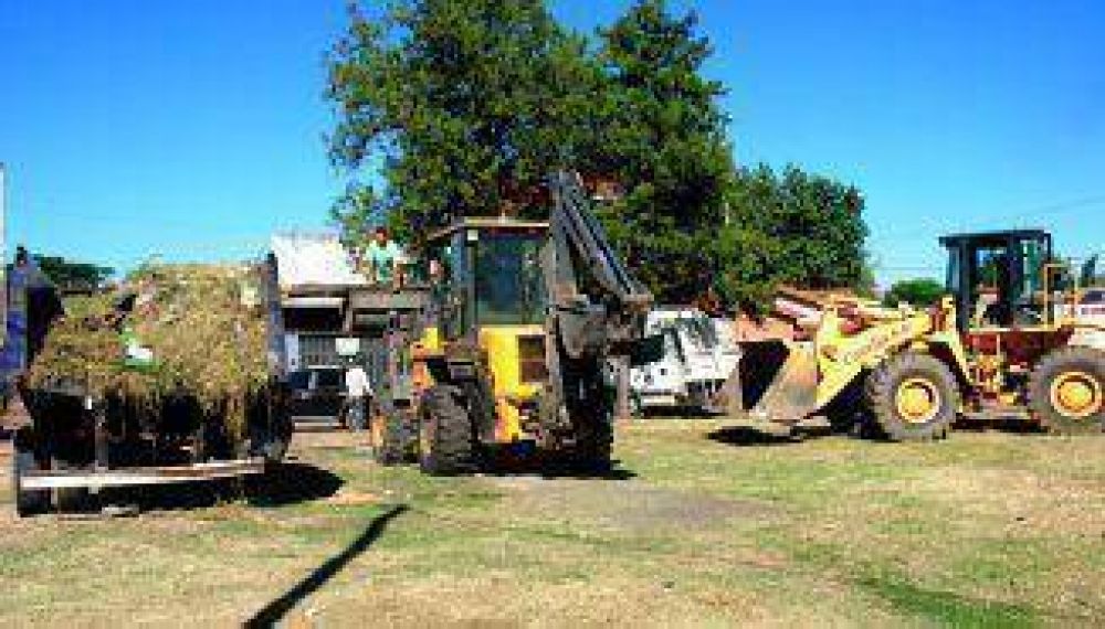 Limpieza y forestaci�n en San Francisco Solano