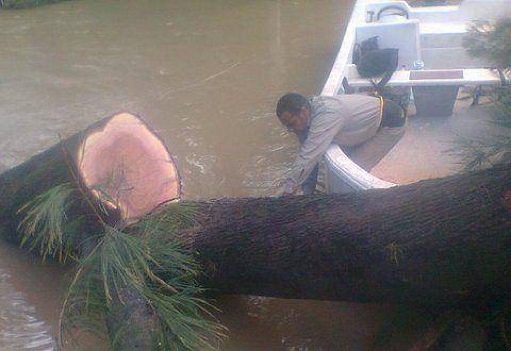 El Municipio de Tigre realiz� obras para la Primera Secci�n de Islas