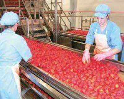 Con ayuda del Ministerio de Producci�n, Caucete quiere una f�brica de tomates