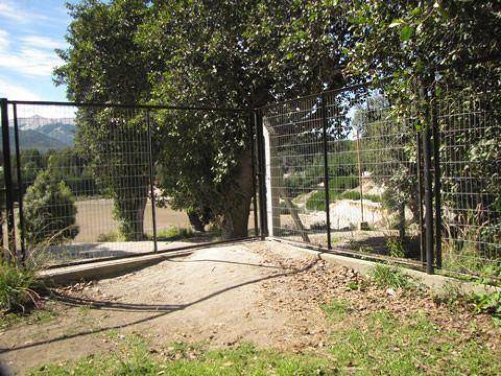 Necesidad de cargos en las escuelas primarias p�blicas