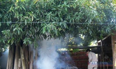 Dengue: m�s de 100 febriles y un nuevo caso sospechoso