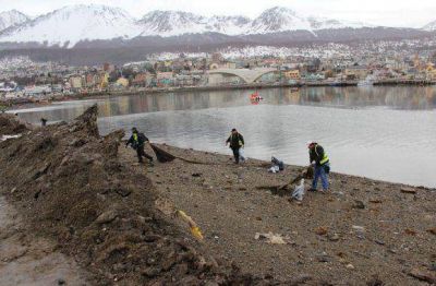 Nueva jornada de limpieza y forestaci�n en la Bah�a Encerrada