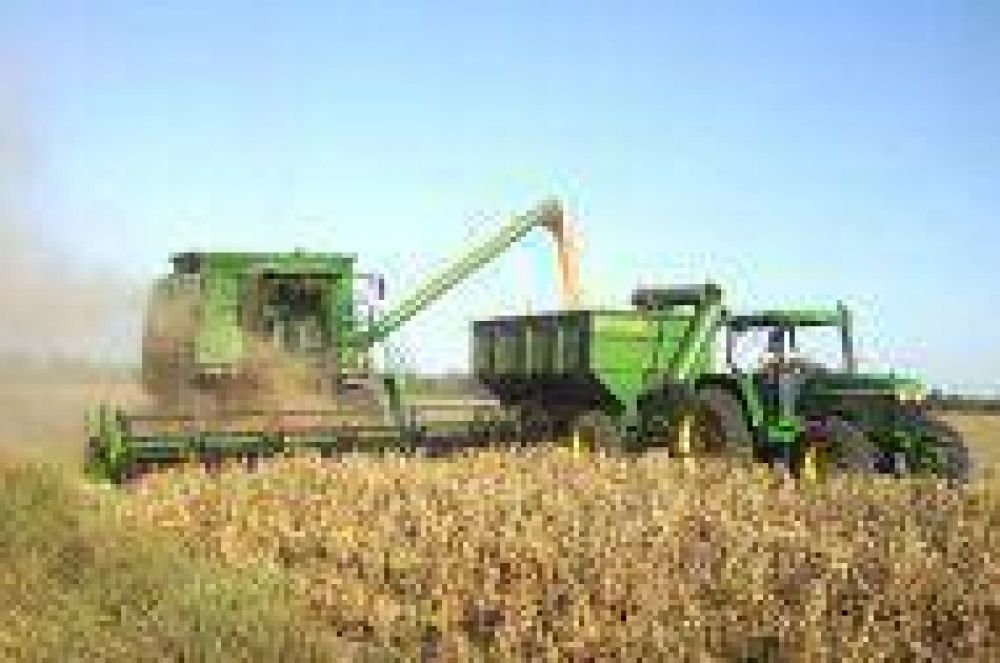 El productor chaque�o recibe menos de $900 por cada tonelada de soja que comercializa