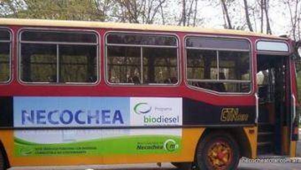 Se solucion� el problema del transporte escolar