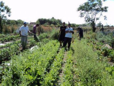 Abierta la inscripci�n al Centro de D�a Caba�a Joven