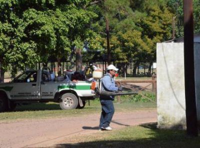 D�cima: "Todos los casos de dengue que tenemos son importados" 