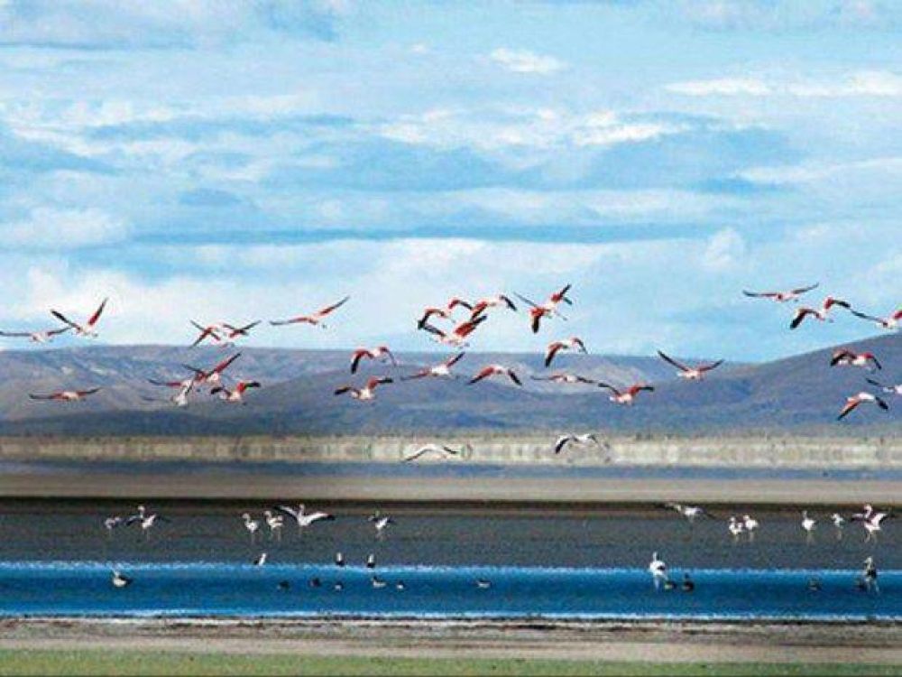 No existe mortandad de especies en Pozuelos