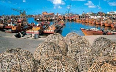 Piden una Sesi�n Extraordinaria del HCD por la crisis en el puerto