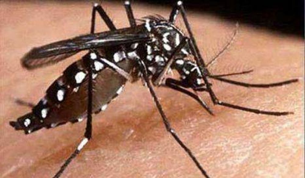 Ciudad: Anuncian primer caso de dengue aut�ctono