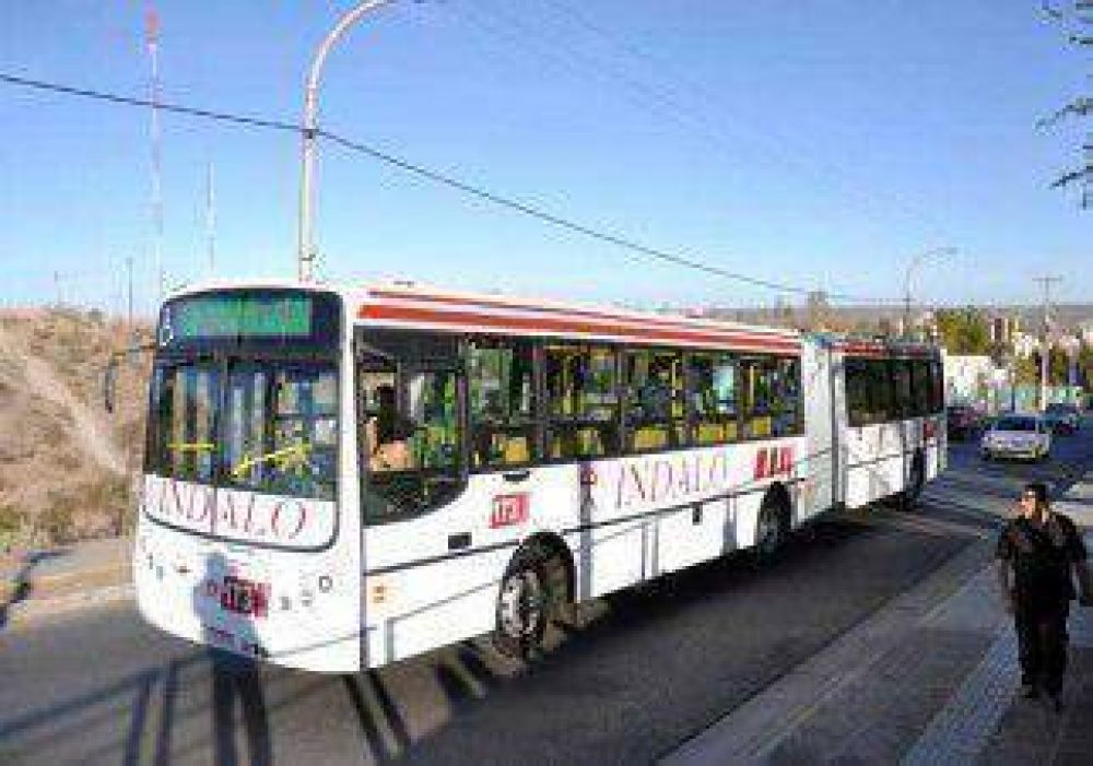 Grave tras ser embestido por colectivo 