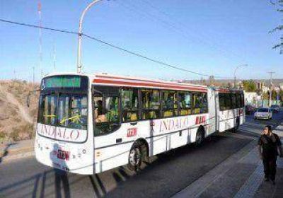 Grave tras ser embestido por colectivo 