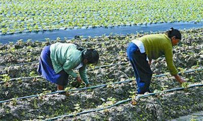 Realizaron estudios clave para saber si hay contaminaci�n en quintas