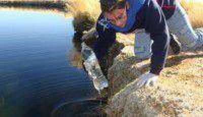 Reiteran que en la Laguna de Pozuelos no hay indicios de contaminaci�n ni de muerte de flamencos