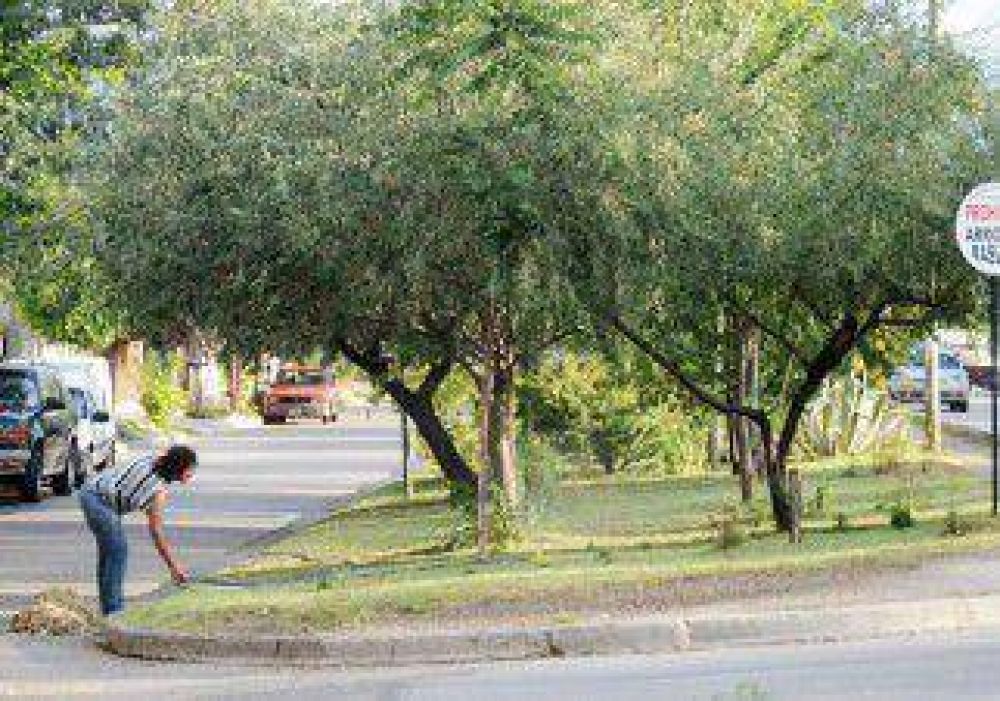 Vecinos, a cargo del ciudado de plazas 