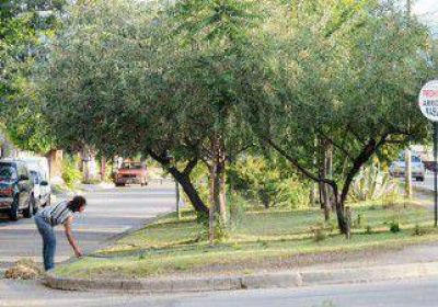 Vecinos, a cargo del ciudado de plazas 