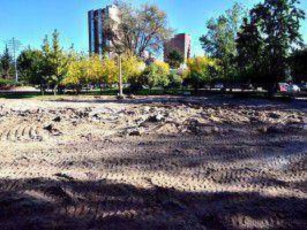 Tarde, Defensor quiere m�s verde y menos autos