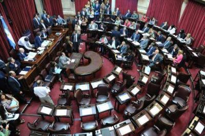 El Senado rechazar� el refer�ndum que realizan los ocupantes de Malvinas
