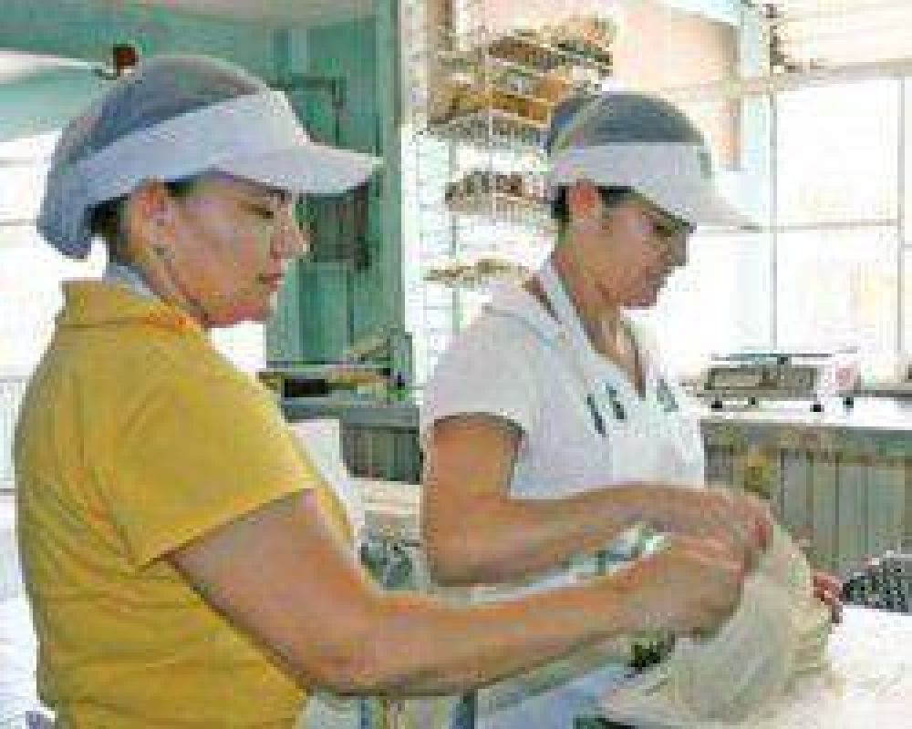 Quieren exigir a empresas un porcentaje de cupo femenino