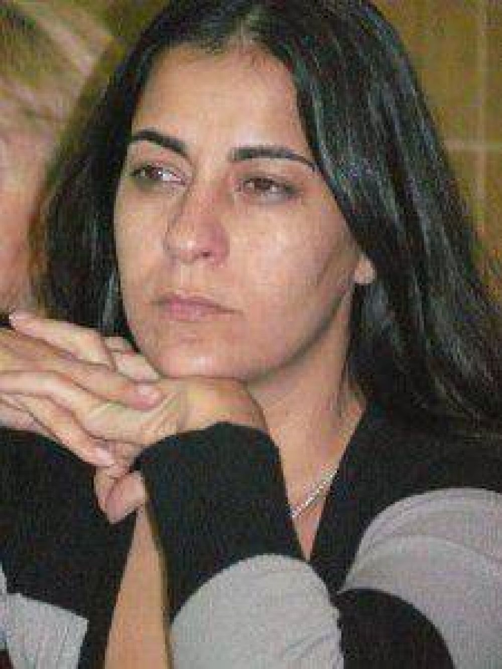 Seg�n Carolina Mois�s en Jujuy no se tratan proyectos sobre publicaci�n de las declaraciones juradas porque �tocan demasiados intereses�