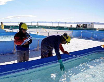 Valor compartido: Sales de Jujuy un caso de orgullo juje�o