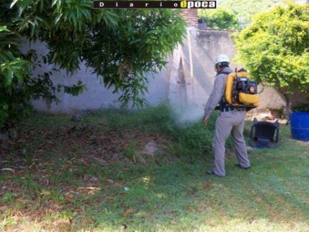 Tras nuevo caso de dengue, Salud intensifica fumigaciones y reitera estar alerta ante s�ntomas