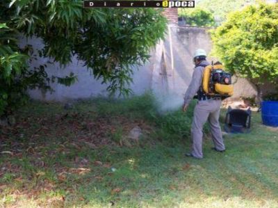 Tras nuevo caso de dengue, Salud intensifica fumigaciones y reitera estar alerta ante s�ntomas