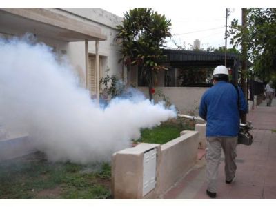 Buscan prevenir el dengue en la provincia ante la aparici�n de casos en el pa�s