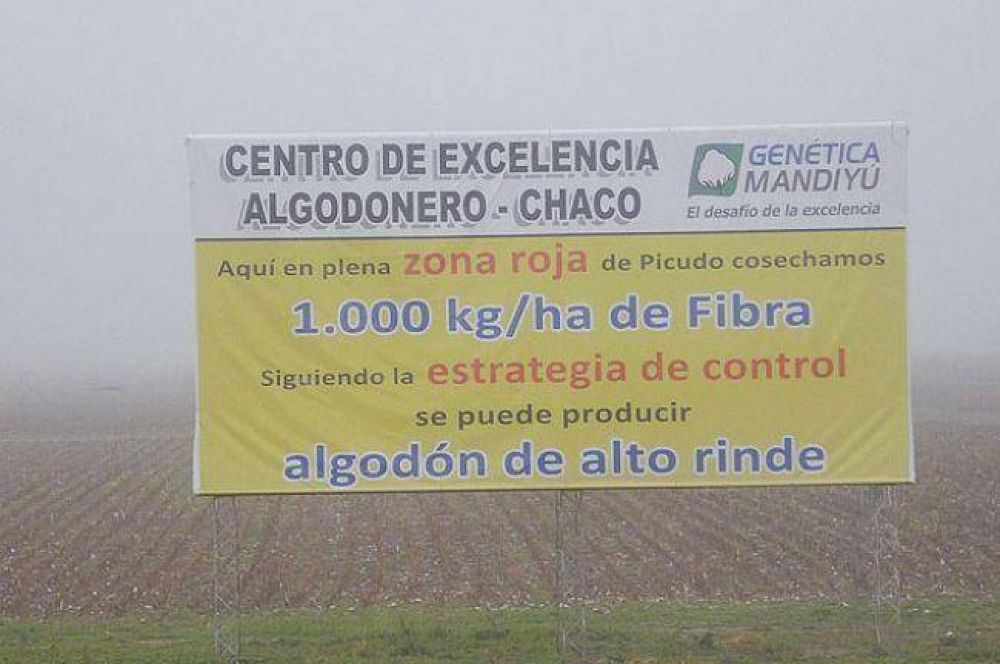 Piden informes sobre planta de semillas transg�nicas de Avia Terai