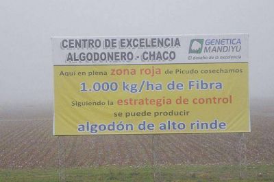 Piden informes sobre planta de semillas transg�nicas de Avia Terai